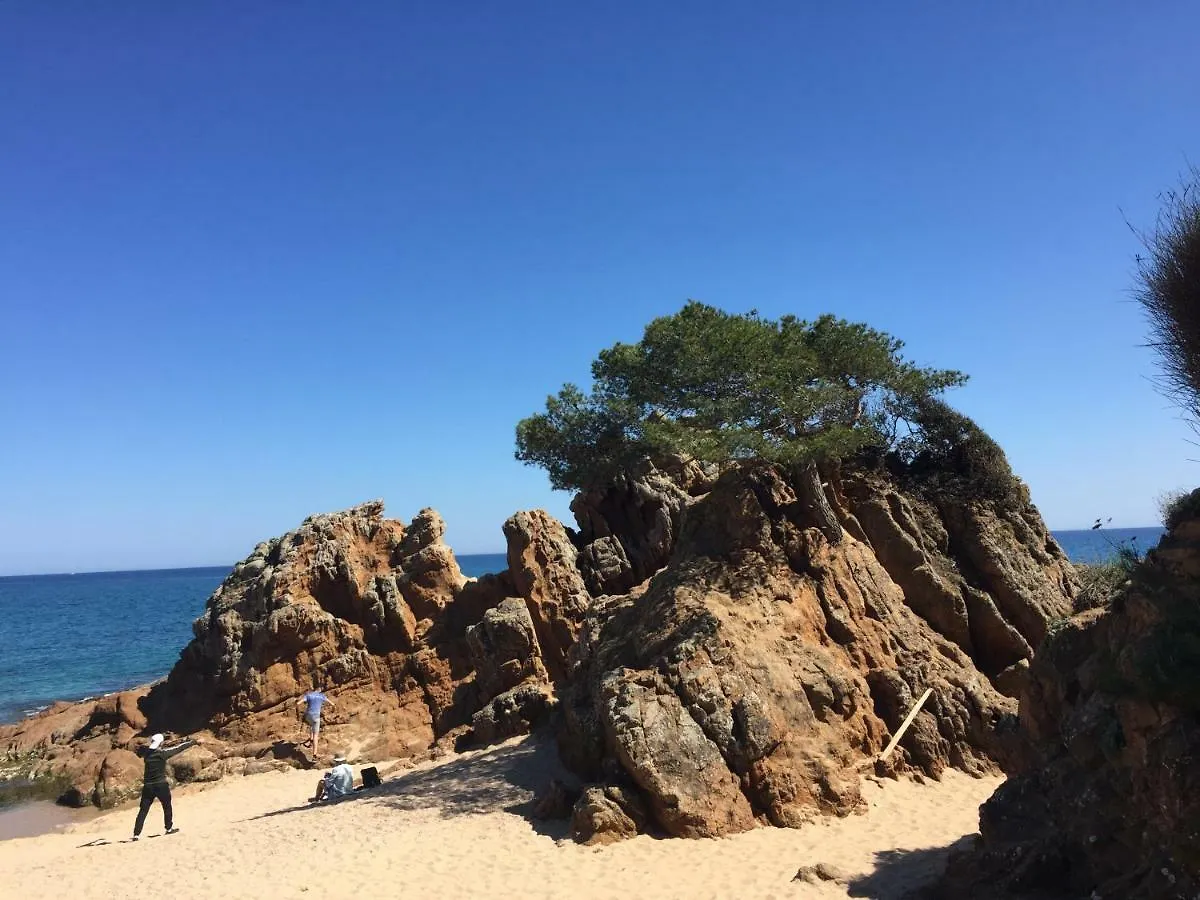 Apartamentos Jardin Turquesa Lloret de Mar 0*,  Spain